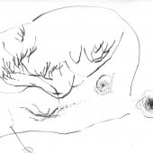 Graphisme sur papier Ingres - Février 2011 - 45 x 32,5 cm (1)