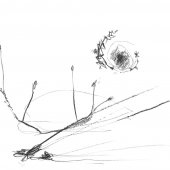 Graphisme sur papier Ingres - Février 2011 - 45 x 32,5 cm (2)