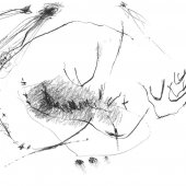 Graphisme sur papier Ingres - Février 2011 - 45 x 32,5 cm (3)