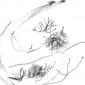 Graphisme sur papier Ingres - Février 2011 - 45 x 32,5 cm (4)