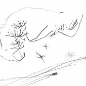 Graphisme sur papier Ingres - Février 2011 - 45 x 32,5 cm (6)