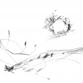 Graphisme sur papier Ingres - Février 2011 - 45 x 32,5 cm (9)